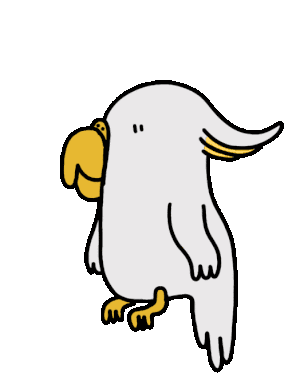 CsaK的gif的gif-cockatoo