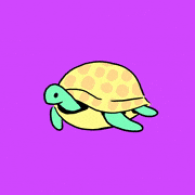 adamvanwinden的gif的gif-Turtle clown car