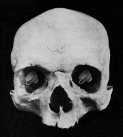 Bill Domonkos的gif的gif-Skull