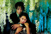 映画「人間失格 太宰治と3人の女たち」【公式】的gif的gif-死ぬ気で恋、する？