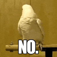 每日GIF(2020-04-30)的gif-Bird Reaction GIF by Cheezburger