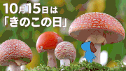 ジフテレビ【フジテレビ公式】的gif的gif-10月15日（日）今日は「 きのこの日 」。
