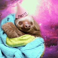 每日GIF(2020-05-02)的gif-Party Space GIF by omgslothsinspace