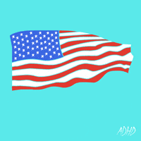 每日GIF(2020-05-24)的gif-Memorial Day Fun GIF by Animation Domination High-Def