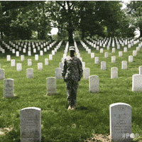 每日GIF(2020-05-24)的gif-Memorial Day Usa GIF by GoPop