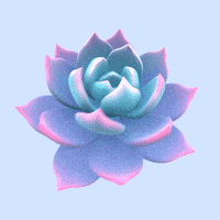 每日GIF(2020-06-01)的gif-Spin Grow GIF by tdhooper