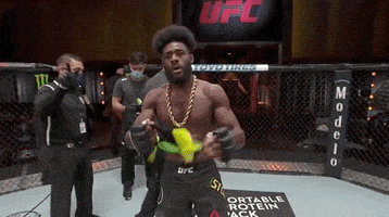 每日GIF(2020-06-08)的gif-Aljamain Sterling Sport GIF by UFC