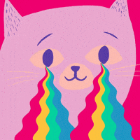 每日GIF(2020-06-17)的gif-Happy Cat GIF by Ramisha Sattar