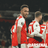 每日GIF(2020-07-21)的gif-Celebrate Premier League GIF by Arsenal