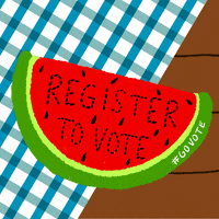 每日GIF(2020-07-21)的gif-Register To Vote Election 2020 GIF by #GoVote