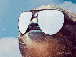 每日GIF(2020-07-30)的gif-Summer Sunglasses GIF