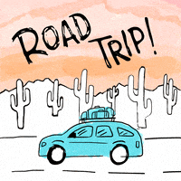 每日GIF(2020-08-01)的gif-Road Trip Summer GIF by @SummerBreak