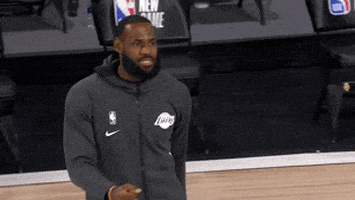 每日GIF(2020-08-09)的gif-Lebron James Sport GIF by NBA