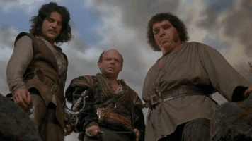 每日GIF(2020-08-10)的gif-I Do Not Think It Means What You Think It Means The Princess Bride GIF