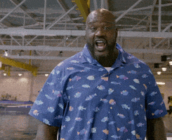 每日GIF(2020-08-11)的gif-Discovery Shaq GIF by Shark Week