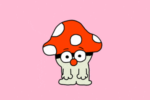 每日GIF(2020-08-12)的gif-What Confused GIF by GIPHY Studios Originals