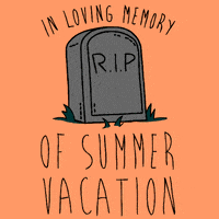 每日GIF(2020-08-12)的gif-Back To School Summer GIF by LookHUMAN