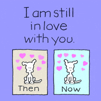 每日GIF(2020-08-15)的gif-I Love You GIF by Chippy the Dog