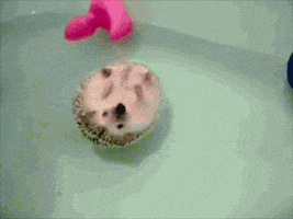 每日GIF(2020-08-18)的gif-Floating GIF