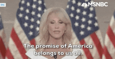 每日GIF(2020-08-28)的gif-Kellyanne Conway Rnc GIF by MSNBC
