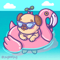 每日GIF(2020-08-30)的gif-Summer Time Party GIF by Alba Paris