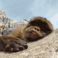 每日GIF(2020-08-30)的gif-David Tennant Reaction GIF by BBC America