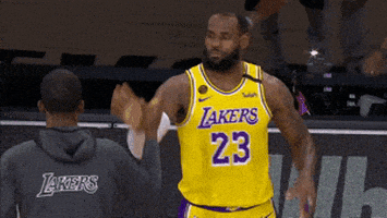 每日GIF(2020-08-31)的gif-Lebron James Sport GIF by NBA