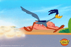 每日GIF(2020-09-06)的gif-Slow Motion GIF by Looney Tunes