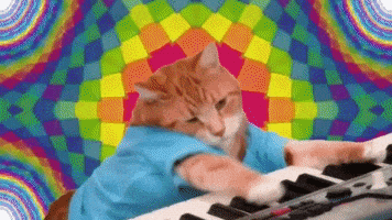每日GIF(2020-09-16)的gif-Funny Cat Jamming GIF by MOODMAN