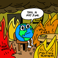 每日GIF(2020-09-20)的gif-This Is Not Fine Climate Change GIF by INTO ACTION
