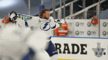 每日GIF(2020-09-24)的gif-Ice Hockey GIF by NHL