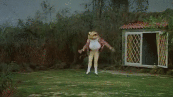 每日GIF(2020-09-26)的gif-Wait Reaction GIF