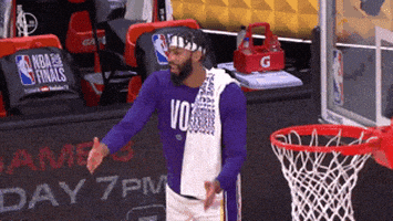 每日GIF(2020-10-05)的gif-Los Angeles Lakers Sport GIF by NBA