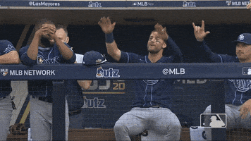 每日GIF(2020-10-08)的gif-Hands Up Baseball GIF by MLB
