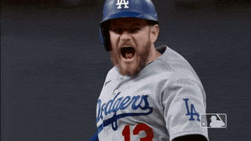 每日GIF(2020-10-24)的gif-Lets Go Yes GIF by MLB