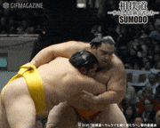 映画「相撲道 ーサムライを継ぐ者たちー」【公式】的gif的gif-Untitled GIF