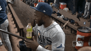 每日GIF(2020-10-28)的gif-Major League Baseball Yes GIF by MLB