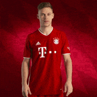 每日GIF(2020-10-28)的gif-New Jersey Wink GIF by FC Bayern Munich