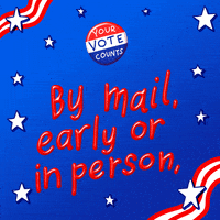 每日GIF(2020-10-28)的gif-Vote Early 2020 Election GIF by INTO ACTION