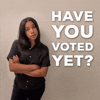 每日GIF(2020-10-29)的gif-Election 2020 Vote GIF by Hannah Bronfman 