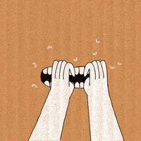 每日GIF(2020-11-05)的gif-Goal Love GIF by Grupo TCC