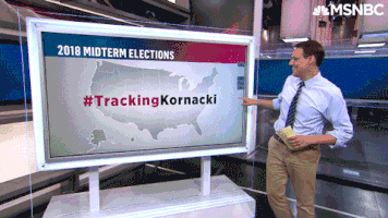 每日GIF(2020-11-07)的gif-Steve Kornacki GIF by MSNBC