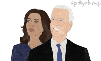 每日GIF(2020-11-11)的gif-United Usa GIF by Pretty Whiskey / Alex Sautter