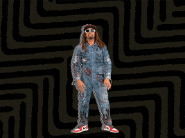 每日GIF(2020-11-18)的gif-Dodging The Haters GIF by Lil Jon