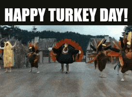 每日GIF(2020-11-27)的gif