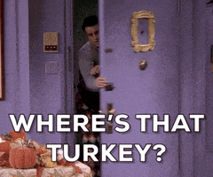 每日GIF(2020-11-27)的gif-Season 8 Thanksgiving GIF by Friends