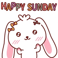每日GIF(2020-11-30)的gif-Happy Sunday GIF by bluesbear