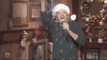 每日GIF(2020-12-03)的gif-Jimmy Fallon GIF by NBC