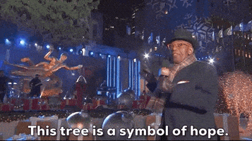 每日GIF(2020-12-03)的gif-Christmas In Rockefeller Center GIF by NBC
