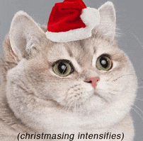 每日GIF(2020-12-07)的gif-merry christmas GIF